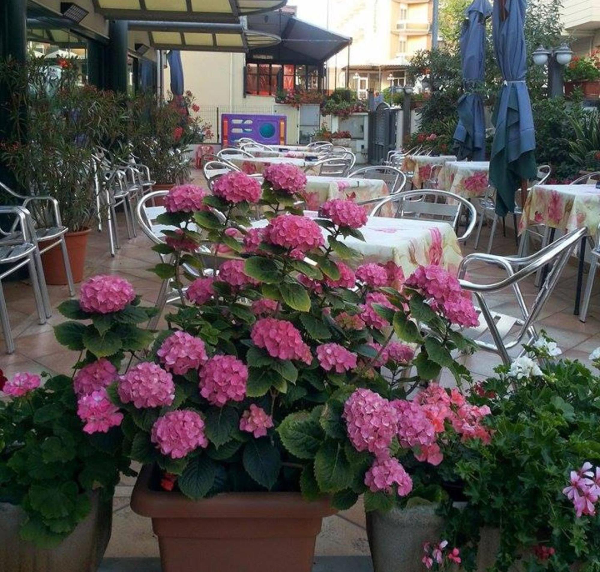 Hotel Caruso Римини Экстерьер фото